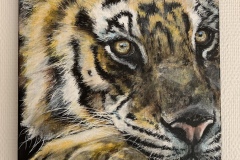 close up painting of a tigers face