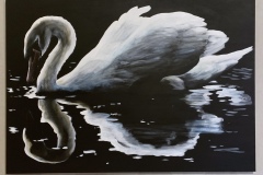 swan painting