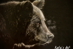 Bear-Finnish mytology drawing