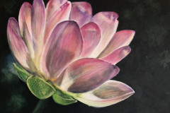 Pink lotus flower painting.