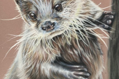 Otter-drawing