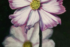 cosmos flower painting.