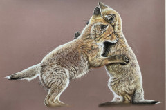 fox-cubs-drawing