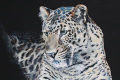 acryl painting of leopard