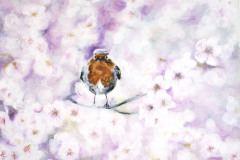robin-with-cherry-flowers