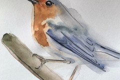 punarinta vesivarimaalaus