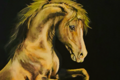 Solar plexus inspired horse art.