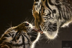 Love between puppy and mom tiger.