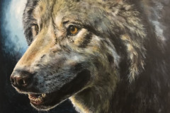 totem-animal-gray-wolf