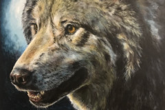 Realistic gray wolf painting.