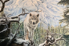 white-wolf-in-front-of-mountains