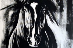 3.-Kontrastien-kuningas