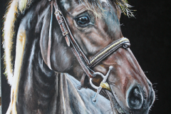 Acryl-painting-of-a-horse-in-sunshine