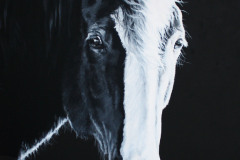 Black-and-white-horse-painting-on-canvas-
