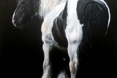 tinker horse painting irish cob