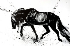 Mustavalkoinen-hevosmaalaus-andalusianhevonen