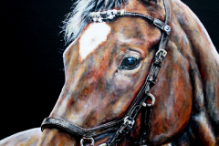 bay-red-horse-acryl-painting-on-canvas
