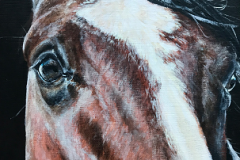 close-up-details-of-horses-eyes-acryl-painting