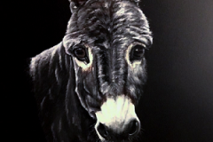 donkey-acryl-painting-on-canvas