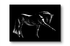 espanjalainen-kaynti-seinalla