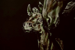 heart-chakra-horses-acrylic-painting