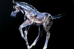 intuition-chakra-horse-series