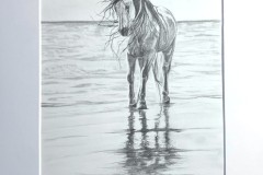lyijykynapiirros-hevonen.jpg7_
