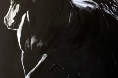 mustavalkoinen-maalaus-arabianhevosesta