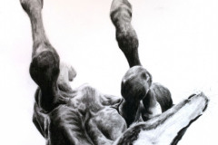 sleeping-foal-drawing