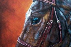 orange-backround-acryl-painting-horse-portrait