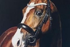 realistic-horse-painting
