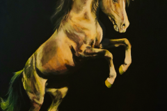 solar-plexus-horse-art
