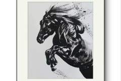 suomenhevonen-mustetahra