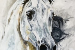 Andalusian horse painting