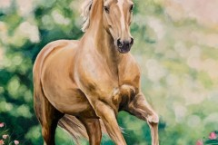 tilaustyo-hevonen-kukkaniitylla