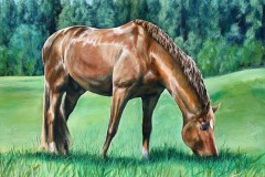 tilaustyo-hevonen-laitumella