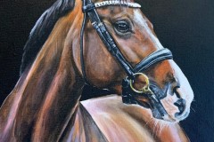 tilaustyo-hevospotretti