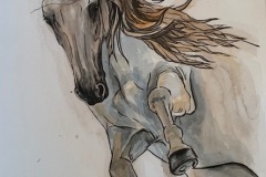 vesivarityo-hevonen2