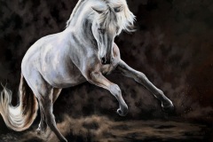 white-horse-in-dark-background.2-kopio