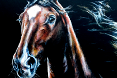 wild-horse-acryl-painting-on-canvas