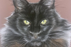black cat drawing