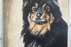 Maalaus-lapinkoirasta