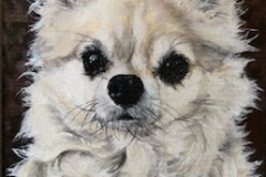 chihuahua painting