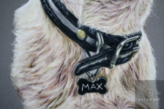 details of a collar on jack russel terrier painted with pastel pencils