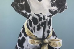 dalmatiankoira-pastellikynat