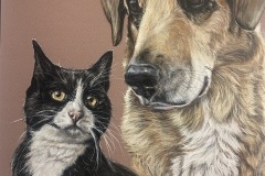 cat and dog drawing