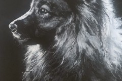 koira-mustavalko-akryylimaalaus