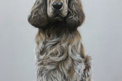 koira-potretti-pastellikynat