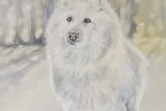 samojedi-talvella-akryylimaalaus