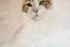 misty-cat-painting